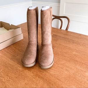 Tall Chestnut Uggs